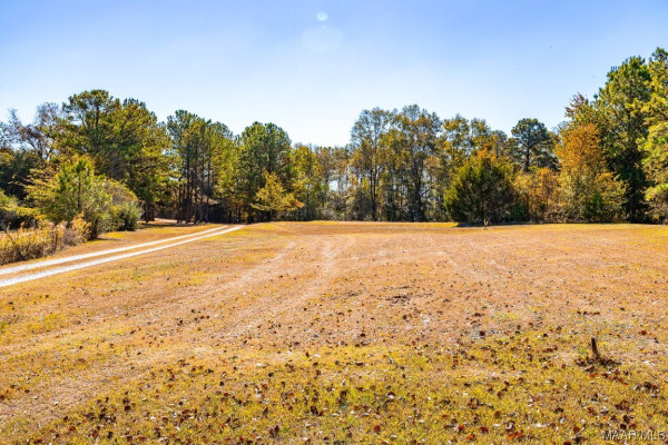 390 County Road 423 .