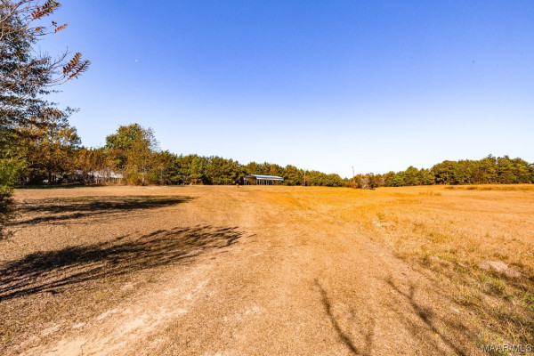 390 County Road 423 .