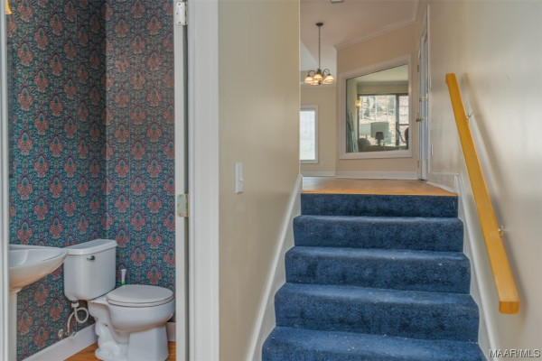 15 Woodhill Trace