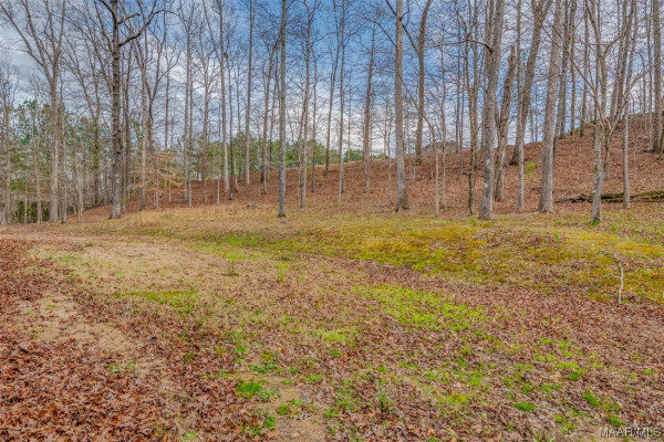 15 Woodhill Trace