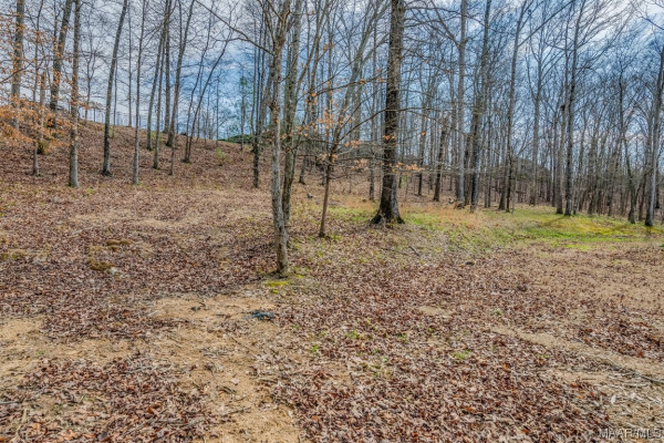 15 Woodhill Trace