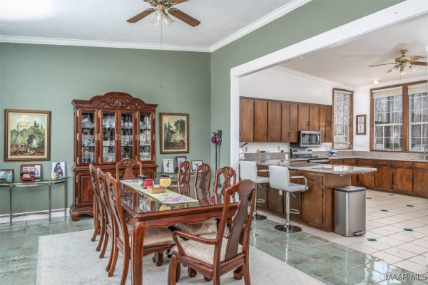 246 Starr Drive