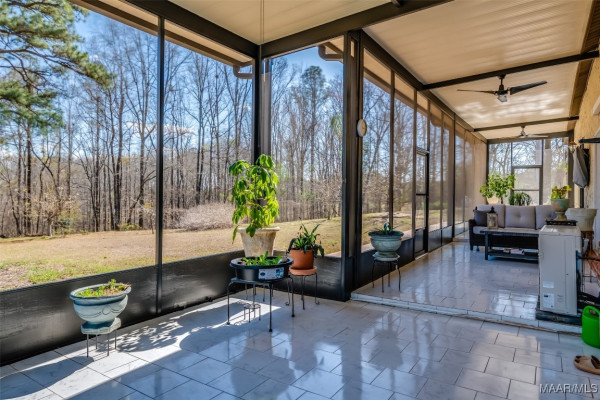 246 Starr Drive