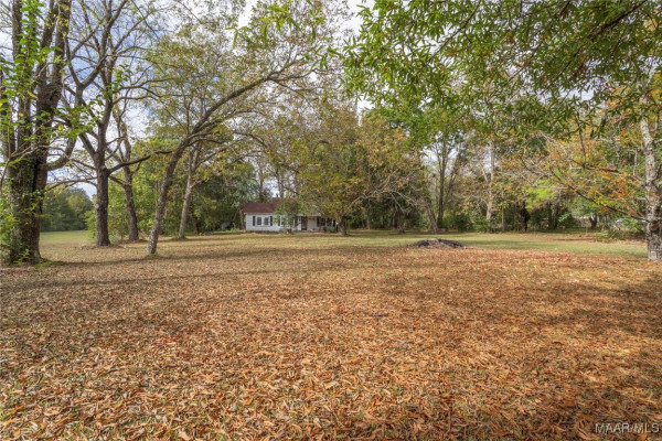 815 Lamar Road