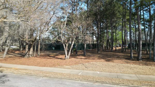 8530 ASHEWORTH Drive