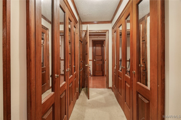 156 Maple Drive
