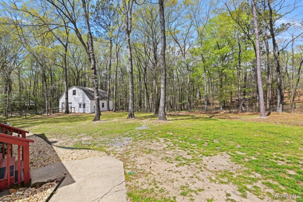 900 Lucys Trail