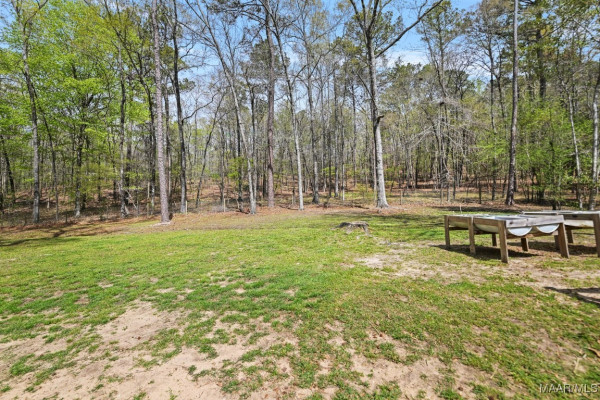 900 Lucys Trail