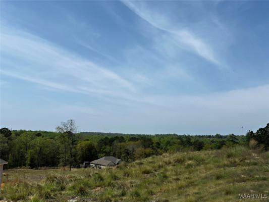 228 Mountain Laurel Ridge