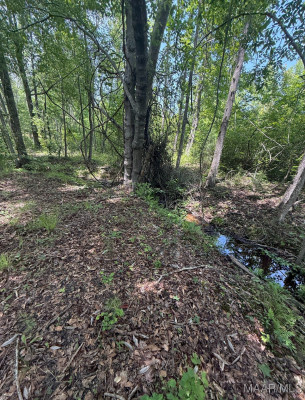 545 Hamp Simmons Road