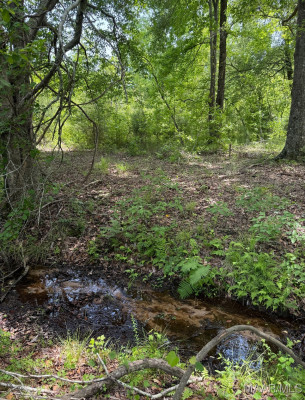 545 Hamp Simmons Road