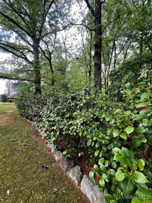 1565 Emerald Mountain Parkway
