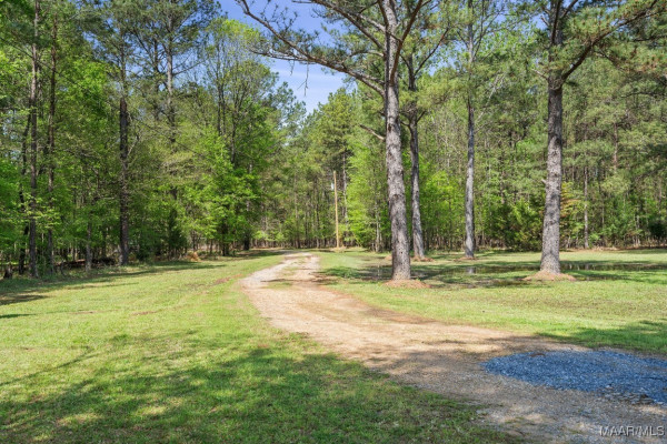 1010 Wildwood Drive