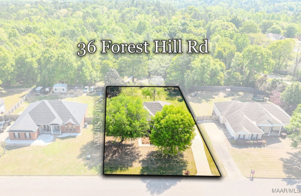 36 Forest Hill Road