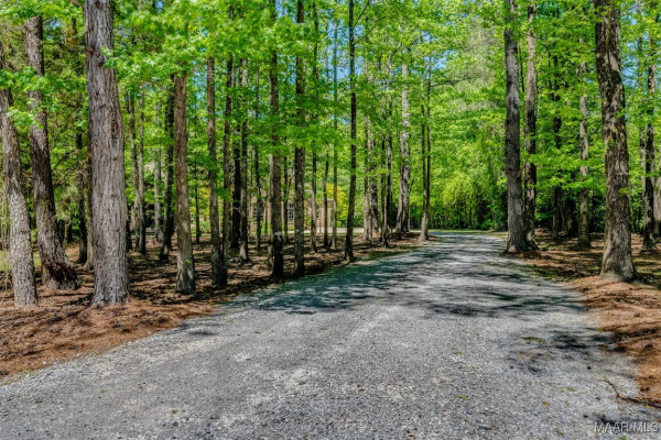 217 Buckhead Drive