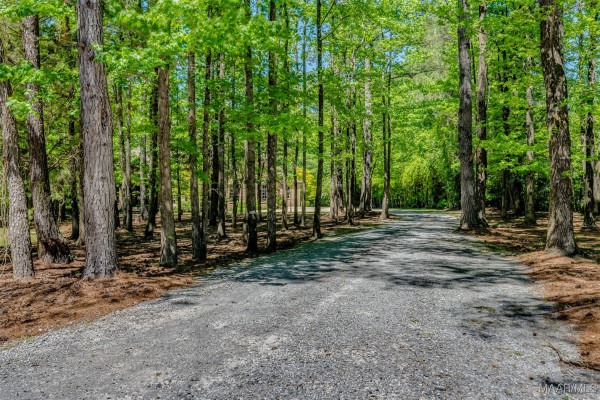 217 Buckhead Drive