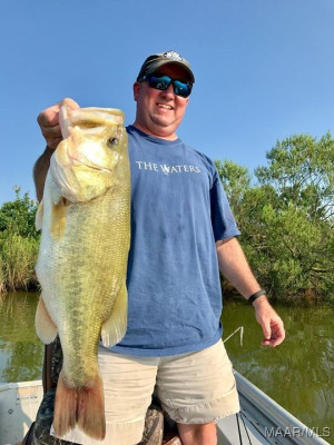 3 Mystic Moss Street