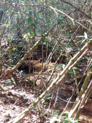 1373 County Road 39 Road