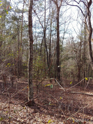 1373 County Road 39 Road