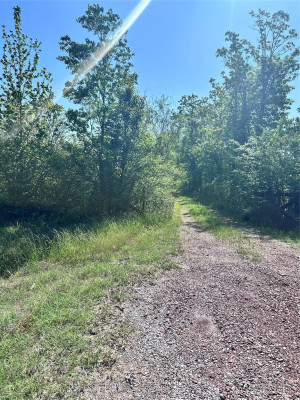 328 Alabama Highway S 143