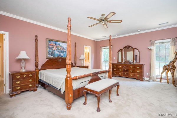 506 Pinetree Lane