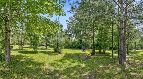 13871 Old Pike Road