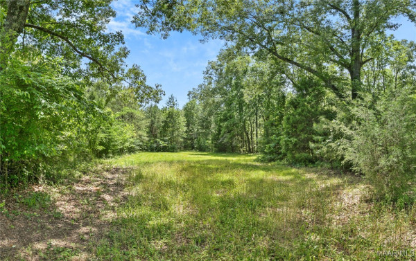 13871 Old Pike Road