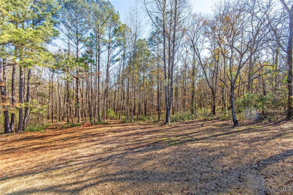 11056 Central Plank Road