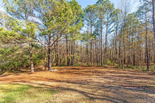 11056 Central Plank Road
