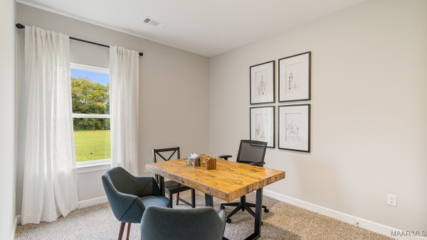 1044 Old Willow Drive