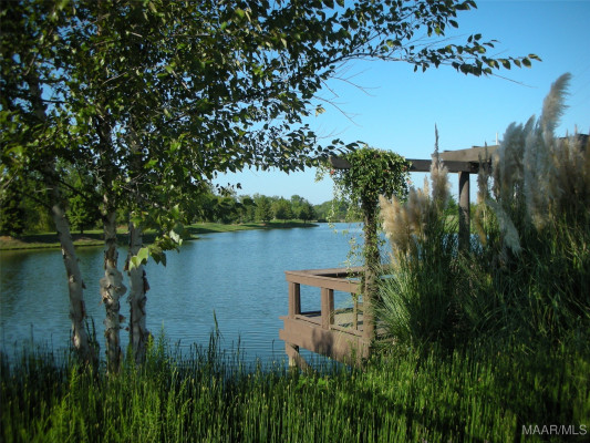 3906 Turning Leaf Lane