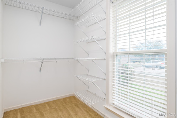 2533 Halcyon Downs Loop