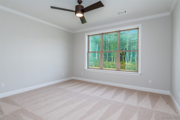 175 Carlisle Road