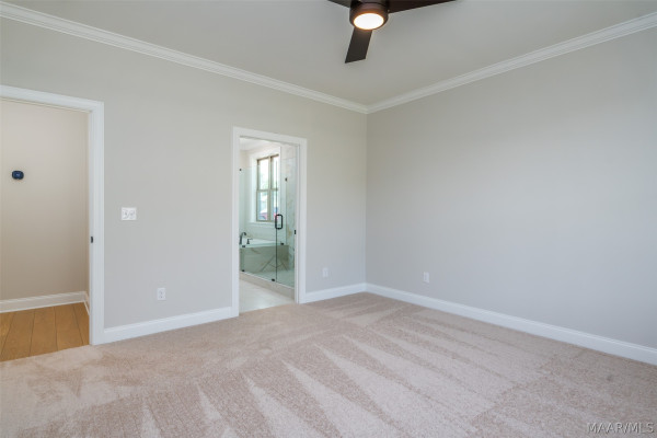 175 Carlisle Road