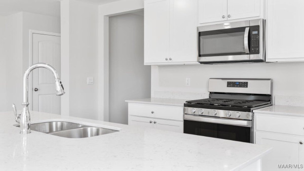 1037 Old Willow Drive