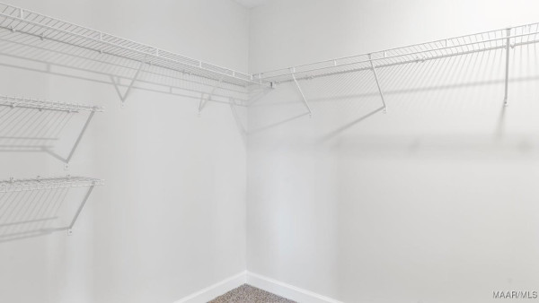 1037 Old Willow Drive