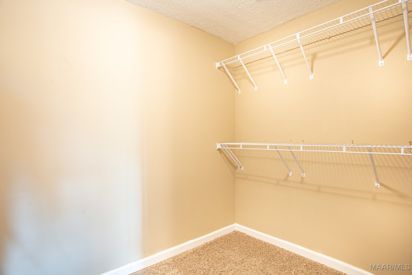 3430 Central Plank Road