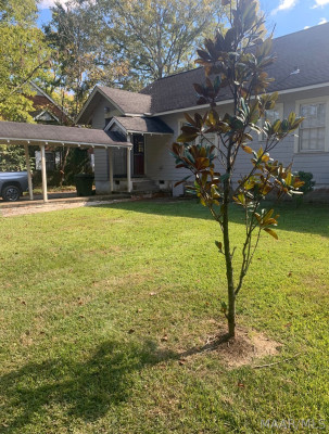 1908 Norman Bridge Court