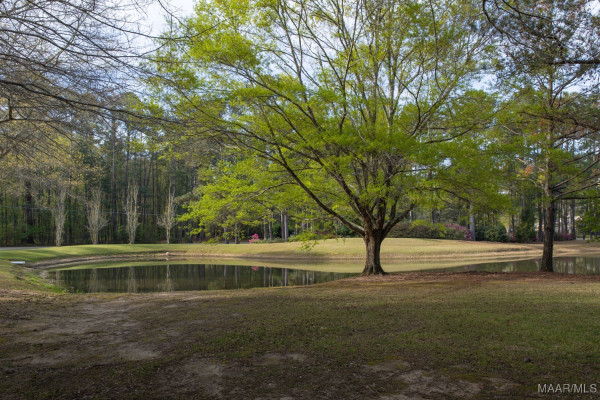 501 Timberlane Road