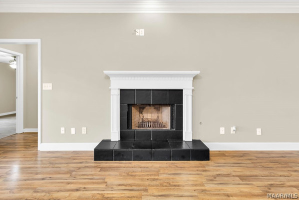 241 Lakeshore Drive