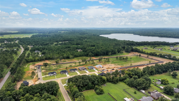 51 Lorie Lee Loop