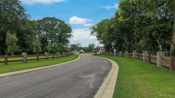 51 Lorie Lee Loop