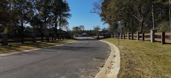 52 Lorie Lee Loop