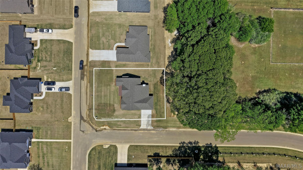 18 Lorie Lee Loop