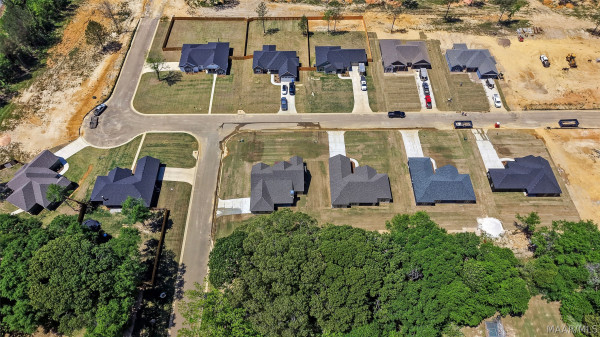 18 Lorie Lee Loop