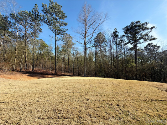 200 Mountain Laurel Ridge