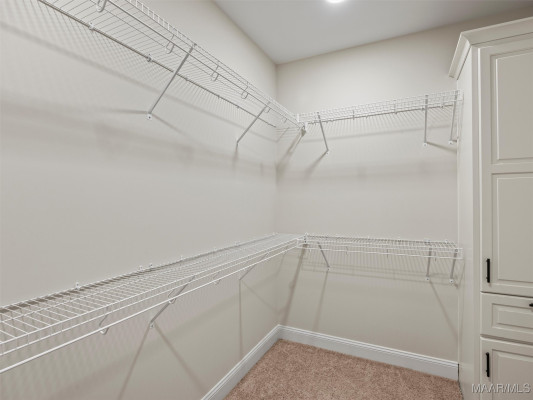 79 Birchwood Lane