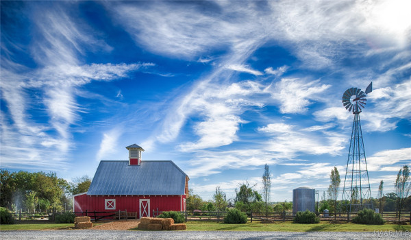 4559 Bloomsbury Street