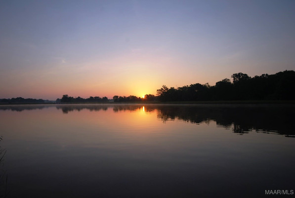 4559 Bloomsbury Street