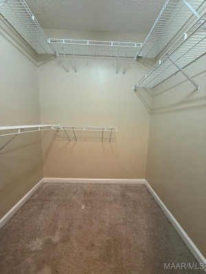 7307 Old Forest Road